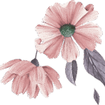 revolution slider home4 23423423